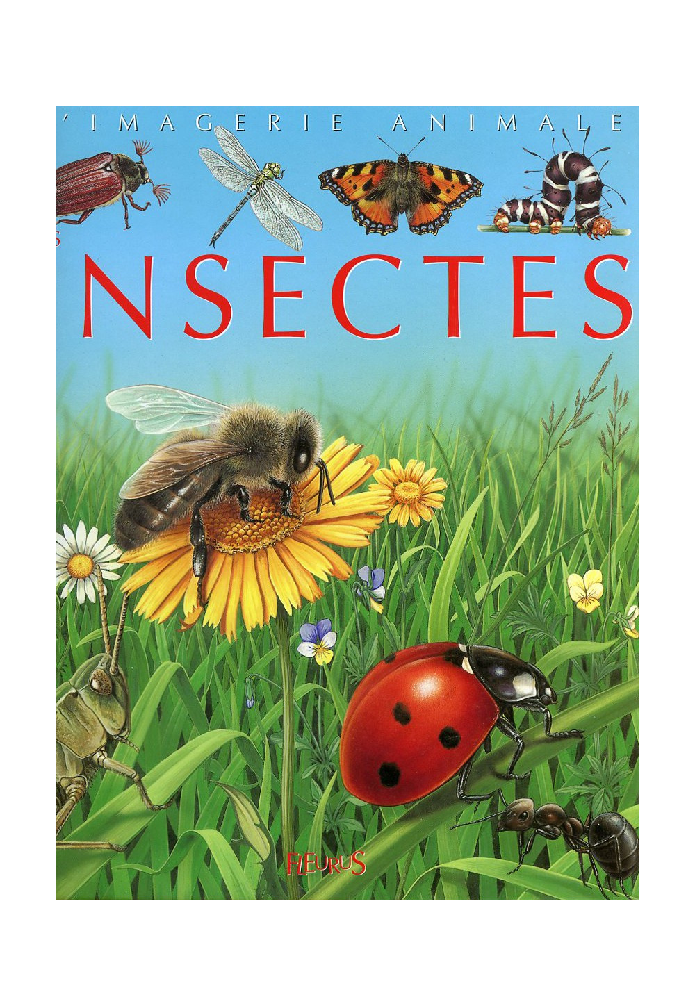 INSECTES (LES) COLL IMAGERIE ANIMALE