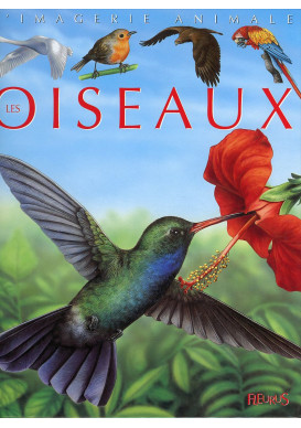 OISEAUX - COLL IMAGERIE ANIMALE