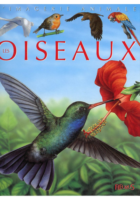 OISEAUX - COLL IMAGERIE ANIMALE