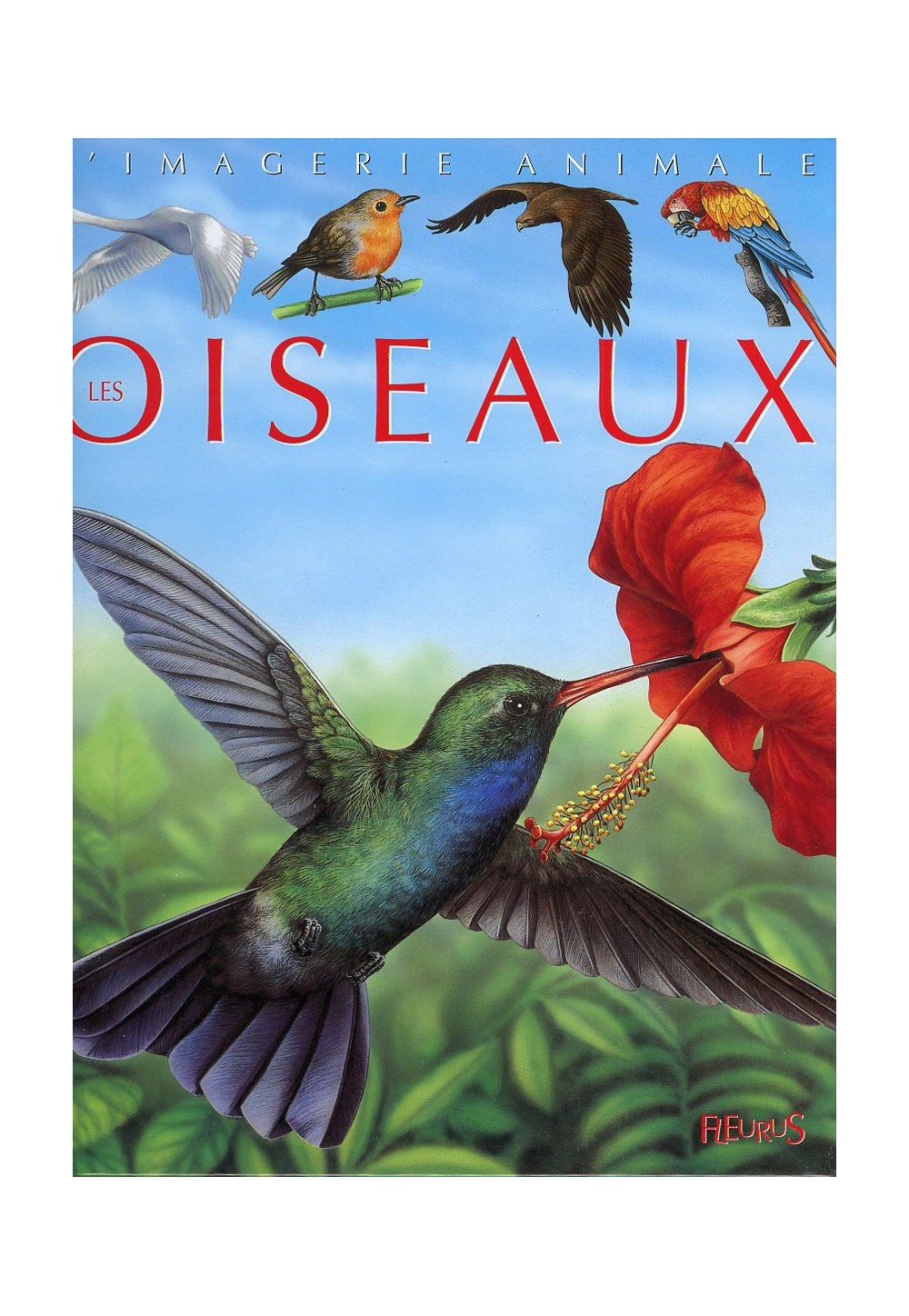 OISEAUX - COLL IMAGERIE ANIMALE
