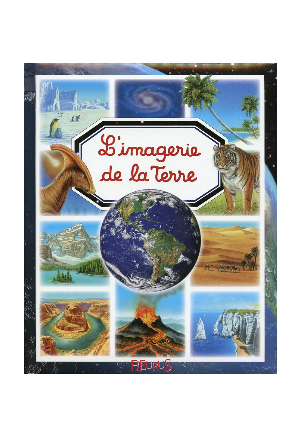 IMAGERIE DE LA TERRE (L')