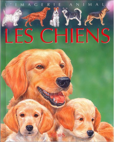 CHIENS (LES) COL IMAGERIE ANIMALE