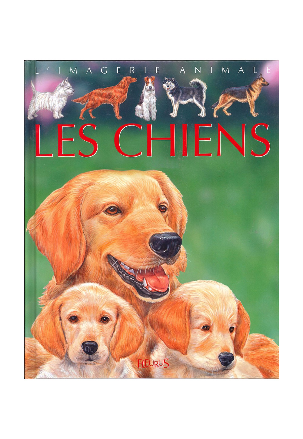 CHIENS (LES) COL IMAGERIE ANIMALE