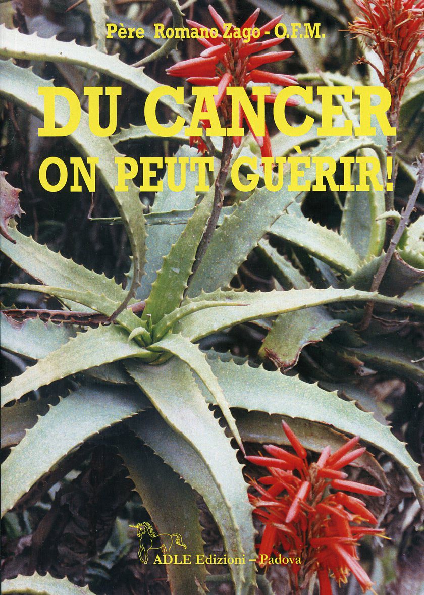 Père Romano Zago Du Cancer On Peut Guérir Pdf