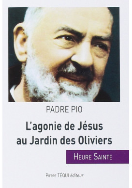 AGONIE DE JÉSUS AU JARDIN DES OLIVIERS HEURE SAINTE DU PADRE PIO /96/