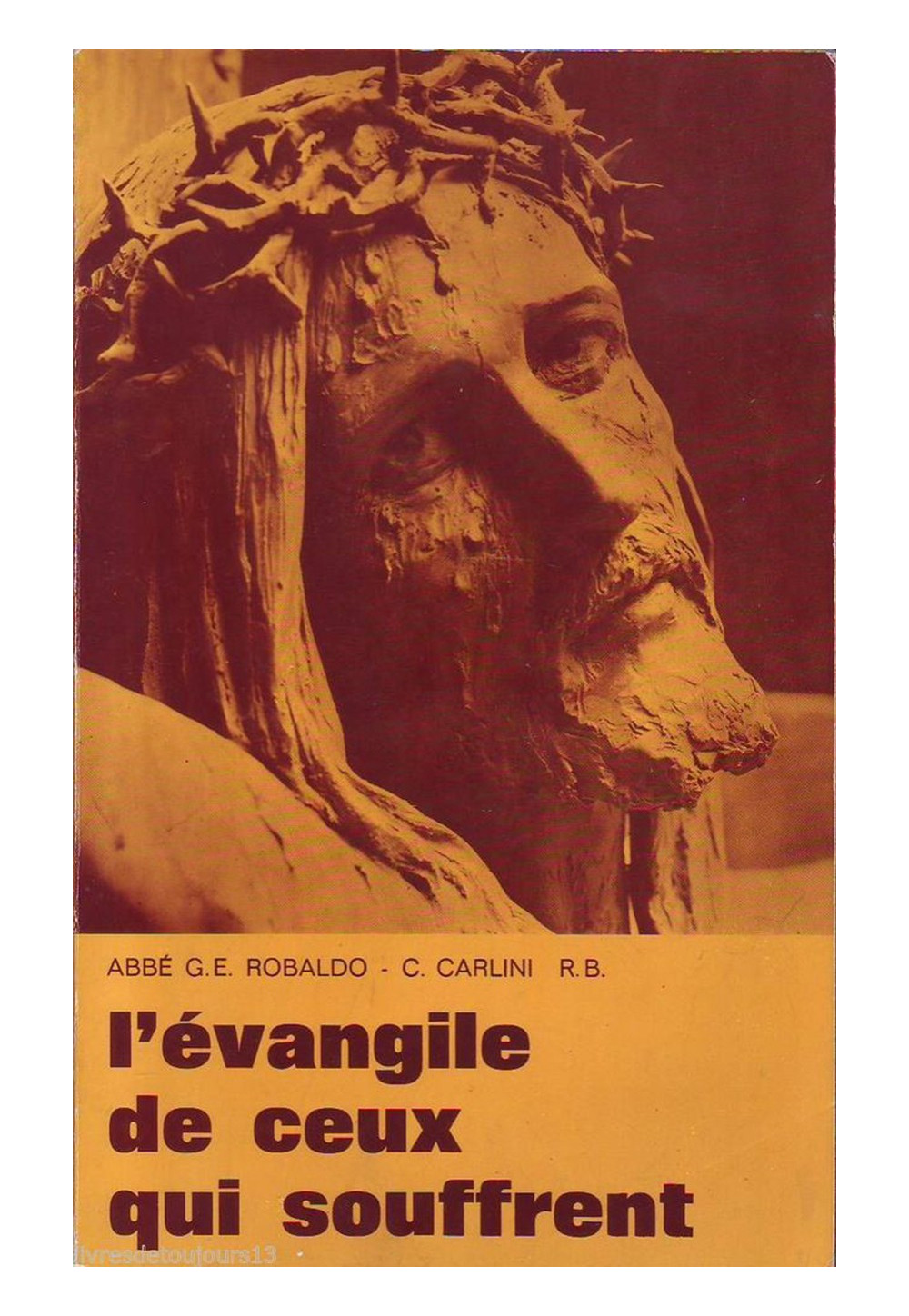 EVANGILE DE CEUX QUI SOUFFRENT (L')  Tome 1