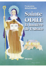 STE ODILE LA LUMIERE DE L'ALSACE
