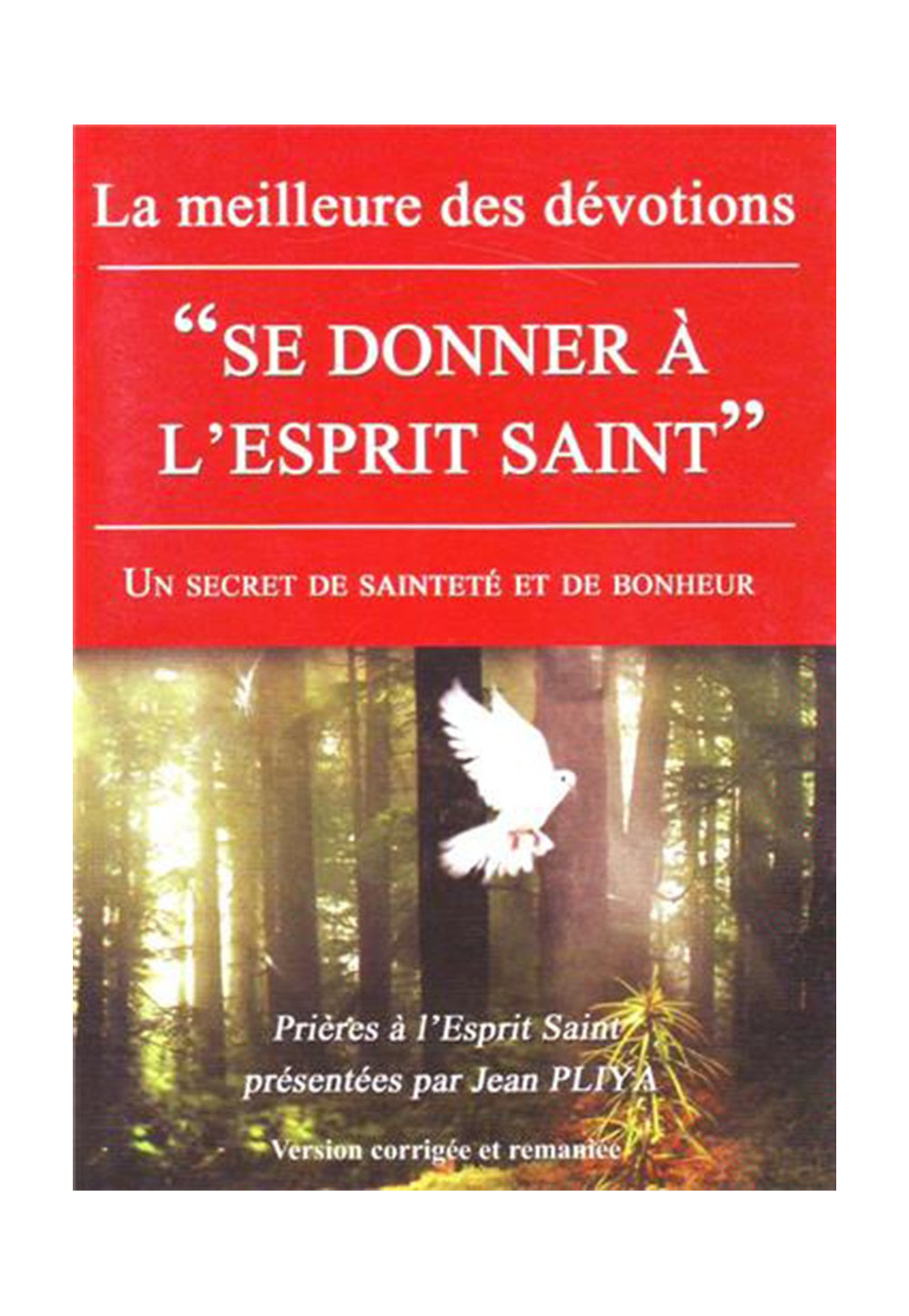 SE DONNER A L'ESPRIT SAINT