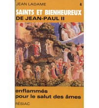 SAINTS ET BIENHEUREUX DE JEAN PAUL II T04 ENFLAMMES POUR LE SALUT DES AMES