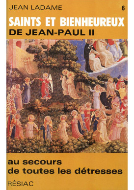 SAINTS ET BIENHEUREUX DE JEAN PAUL II T06 /AU SECOURS DE TOUTES LES DETRESSES