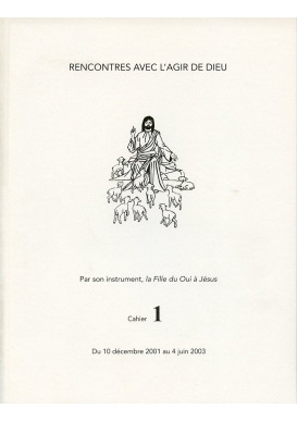 RENCONTRES AVEC L'AGIR DE DIEU - Cahier 1 : 10 DEC 01 AU 4 JUIN 03