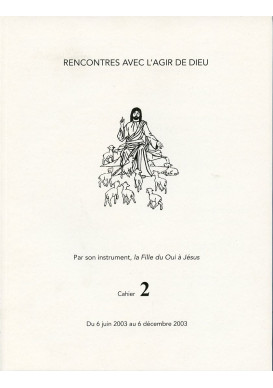 RENCONTRES AVEC L'AGIR DE DIEU - Cahier 2 : 6 JUIN 03 AU 6 DEC 03