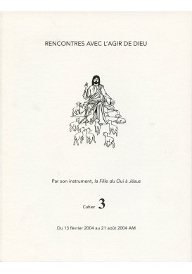 RENCONTRES AVEC L'AGIR DE DIEU - Cahier 3 : 13 FEV 04 AU 21 AOUT 04