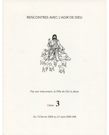 RENCONTRES AVEC L'AGIR DE DIEU - Cahier 3 : 13 FEV 04 AU 21 AOUT 04