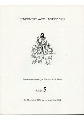 RENCONTRES AVEC L'AGIR DE DIEU - Cahier 5 : 14 OCT 04 AU 16 NOV 04