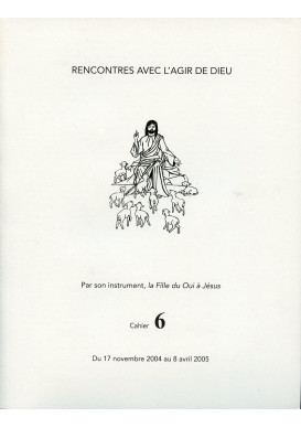 RENCONTRES AVEC L'AGIR DE DIEU - Cahier 6 : 17 NOV 04 AU 8 AVRIL 05