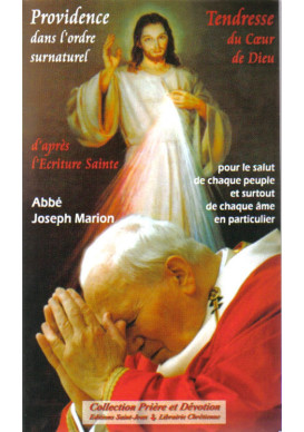 PROVIDENCE DANS L'ORDRE SURNATUREL TENDRESSE