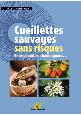 CUEILLETTES SAUVAGES SANS RISQUES Baies, plantes, champignons