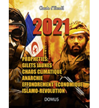 2021 Prophéties, gilets jaunes, chaos climatique, anarchie, effondrement économique, islamo-révolution