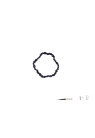TOURMALINE NOIRE  BRACELET 20 CM