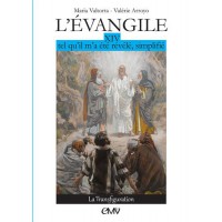 L’EVANGILE TEL QU’IL M’A ÉTÉ RÉVÉLÉ - MARIA VALTORTA - T14 Edition simplifiée