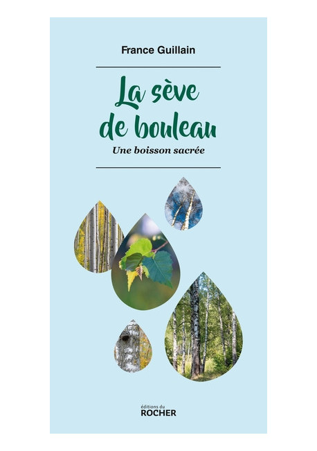 LA SEVE DU BOULEAU une boisson sacrée