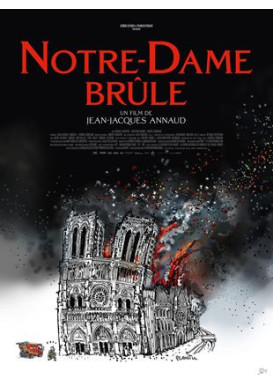 Notre Dame brûle