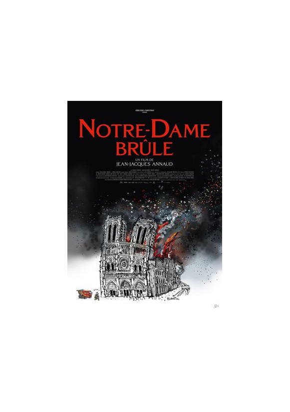 Notre Dame brûle