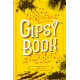 Gipsy book - Malgré nous T3