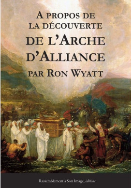 A propos de la découverte de l'Arche d'Alliance