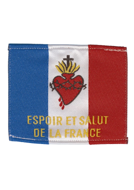 DRAPEAU S COEUR ESPOIR ET SALUT DE LA FRANCE 7 x 7 cm