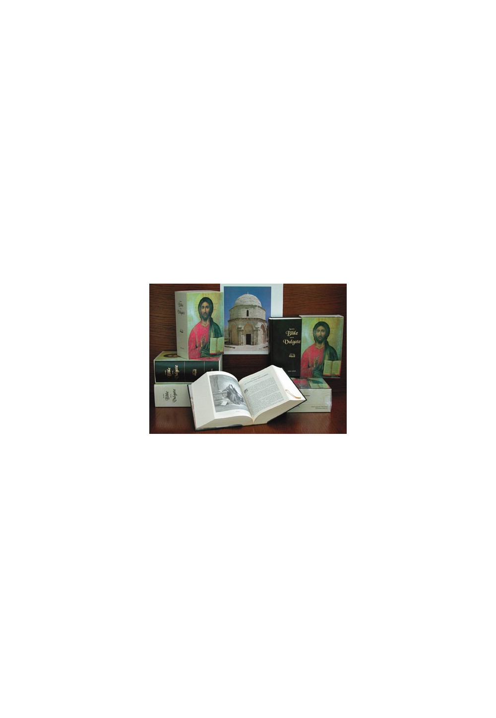 STE BIBLE SELON LA VULGATE (LA)