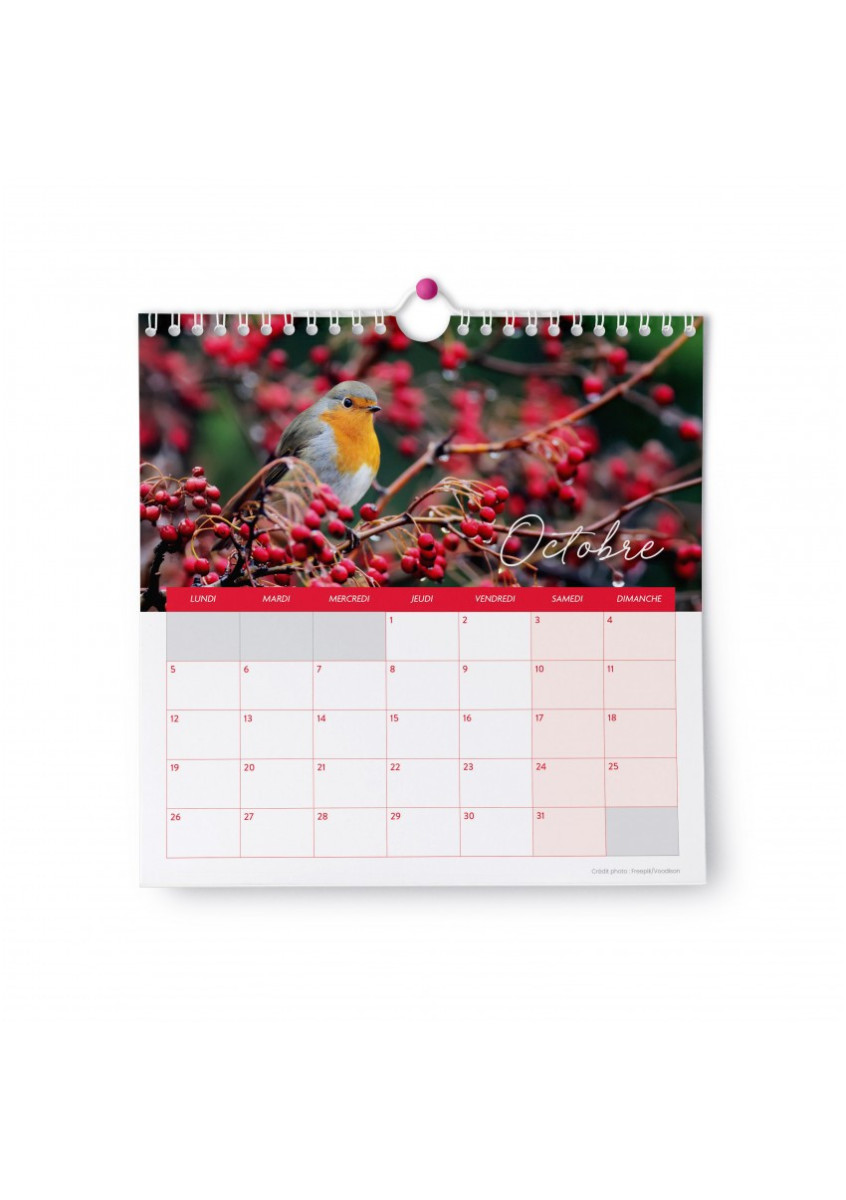 CALENDRIER MERVEILLES 2026