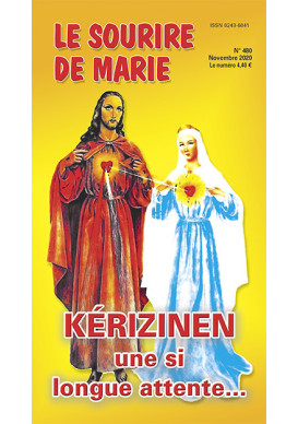 N° 480 novembre 2020