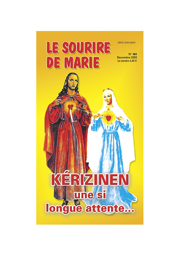 N° 480 novembre 2020