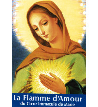 FLAMME D'AMOUR DU COEUR IMMACUL DE MARIE 