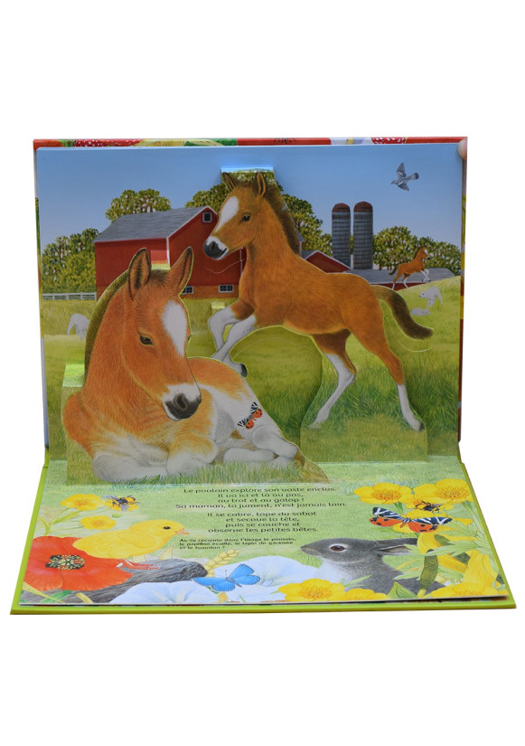FERME ET LA CAMPAGNE (LA)