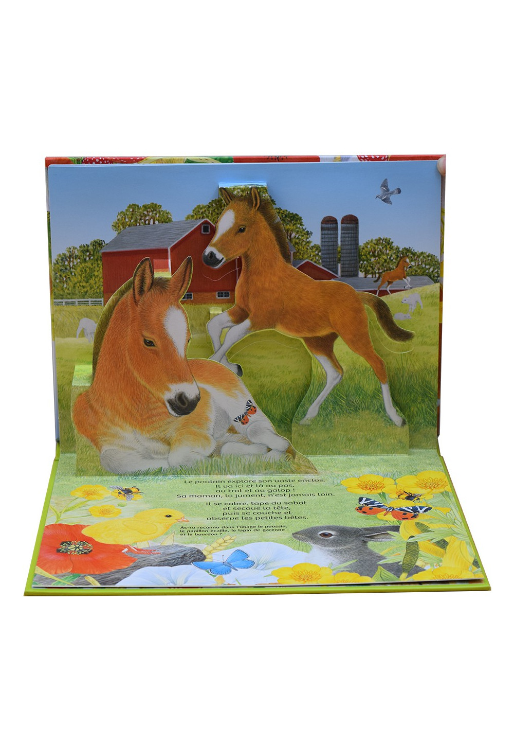 FERME ET LA CAMPAGNE (LA)
