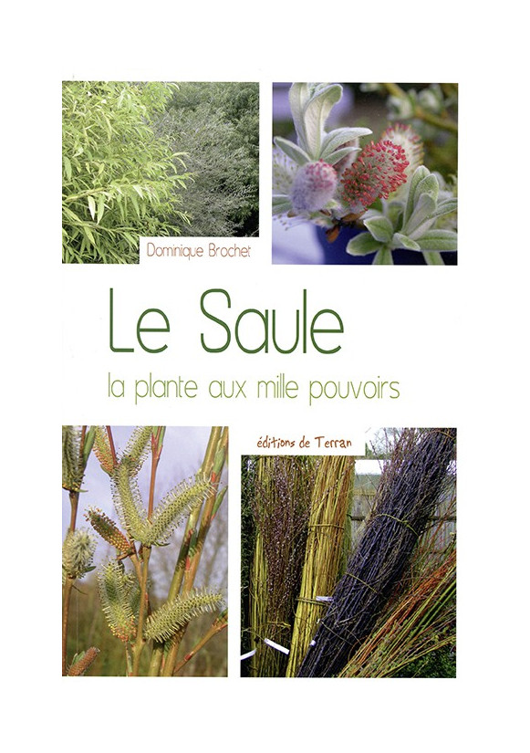 SAULE (LE) La plante aux mille pouvoirs