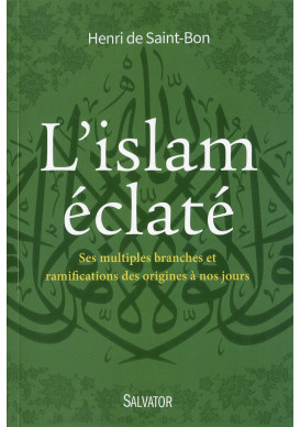 ISLAM ÉCLATÉ (L’) Ses multiples branches et ramifications, des origines à nos jours