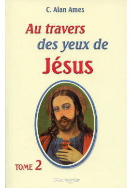 AU TRAVERS DES YEUX DE JESUS - Tome 2