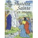 HISTOIRE SAINTE EN IMAGES (L') - ALBUM CARTONNE